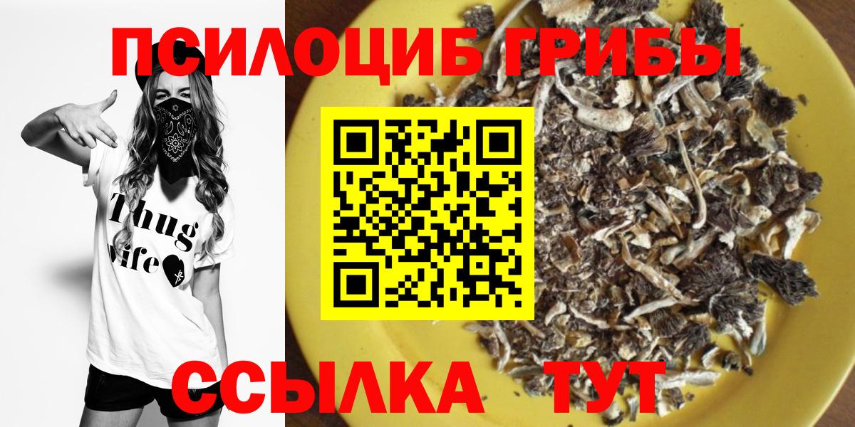 Галлюциногенные грибы MAGIC MUSHROOMS Партизанск